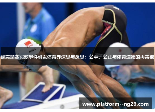 魏震禁赛罚款事件引发体育界深思与反思：公平、公正与体育道德的再审视
