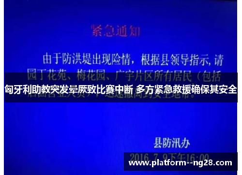 匈牙利助教突发晕厥致比赛中断 多方紧急救援确保其安全